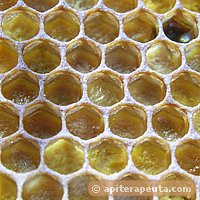 foto de pan de abeja HD